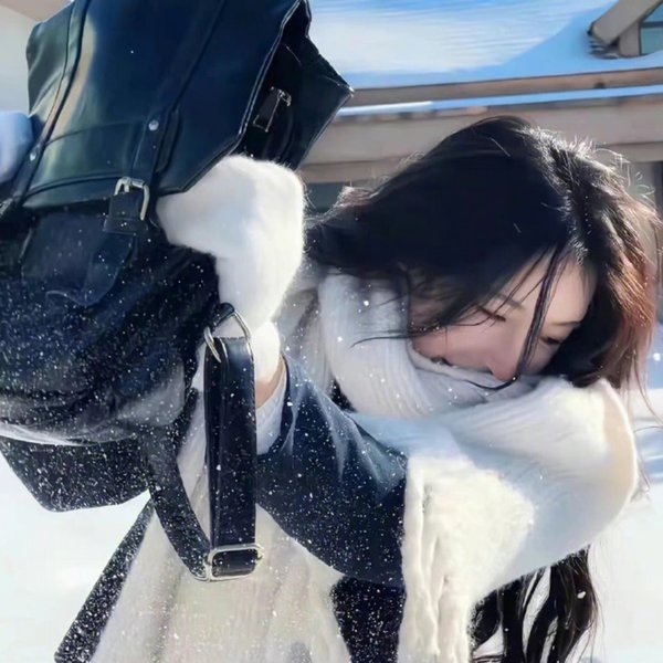 迷雾之消失的她