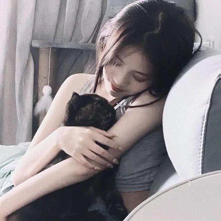 布衣知县梵如花